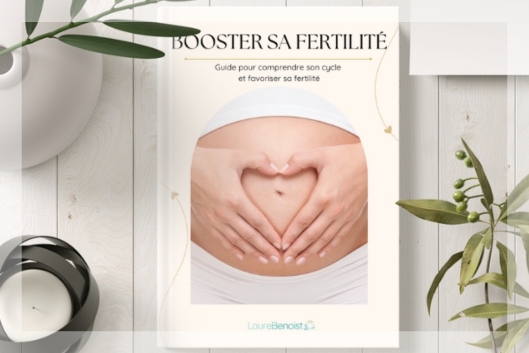 Boostez votre fertilité naturellement grâce à des techniques simples et efficaces : découvrez mon ebook "Booster sa fertilité" !